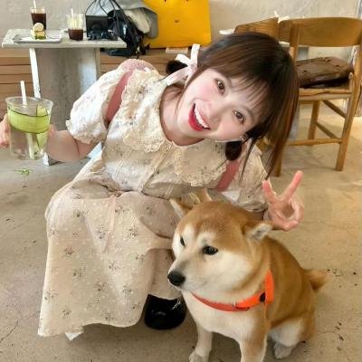 恐怖之岛